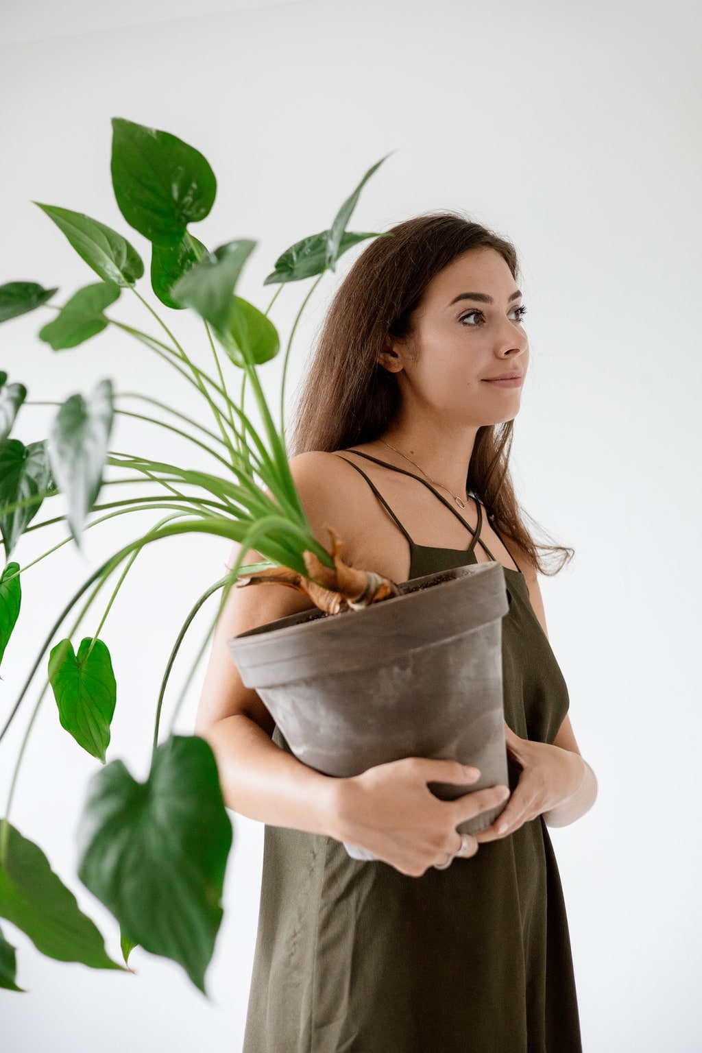 A woman carrying a plant.